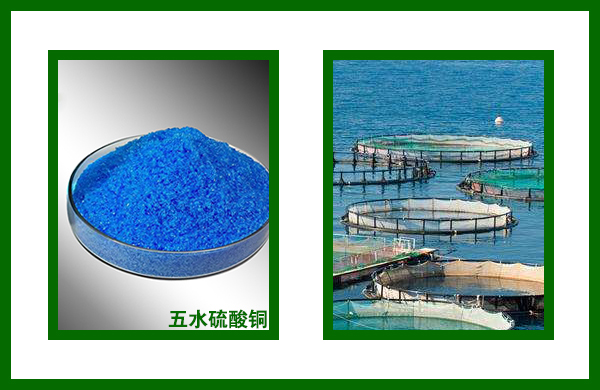 硫酸銅